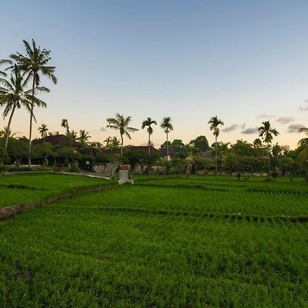 Agung Raka Villa Ubud Exterior foto
