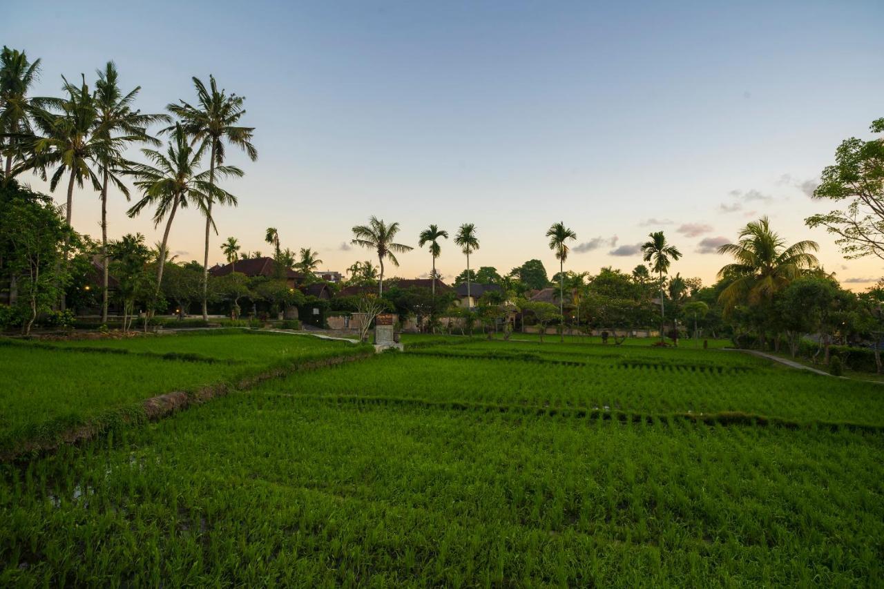 Agung Raka Villa Ubud Exterior foto